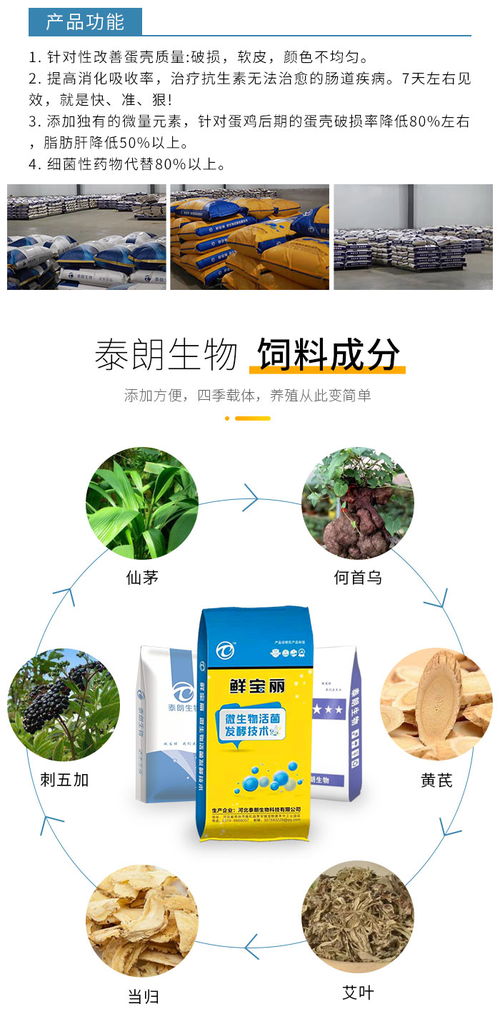 河北泰朗 生物飼料與飼料添加劑的創新之路